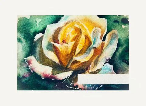 Hand drawn yellow rose watercolor art Stock Illustration