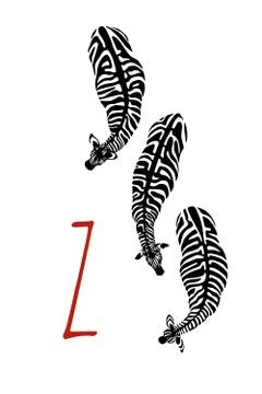 Hand drawn zebras Stock Illustration