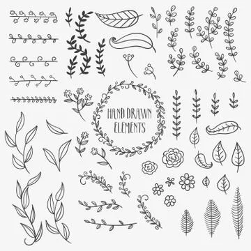 Hand drawnnatural decoration elements Stock Illustration