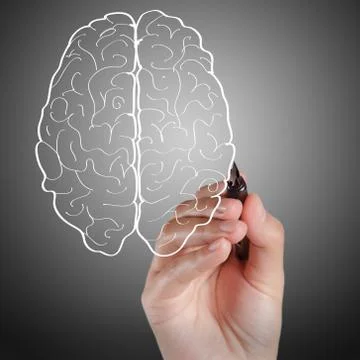 Hand draws brain sign Stock Illustration