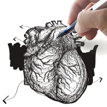Hand draws heart Stock Illustration