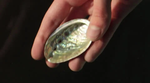 A hand is dropping a clam in water Stock Footage 24890747