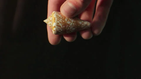 A hand is dropping a clam in water Stock Footage 24891068