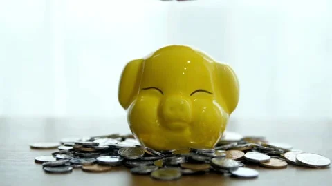 Hand dropping coins into a yellow pig piggy bank Stock Footage 332284886