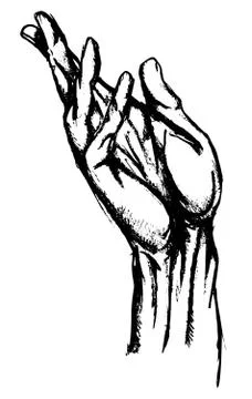 Hand drwan hand 스톡 일러스트