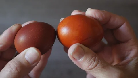 Hand With Easter Egg Knocking With Another Hand With Easter Egg. Stock Footage 111151745