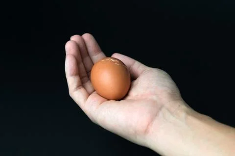 Hand with egg Stock Photos