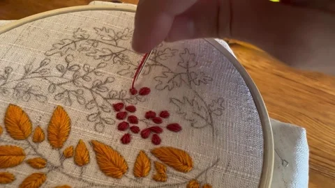 Hand Embroidery Process with Colorful Threads on Linen fabric Stock Footage 319443669