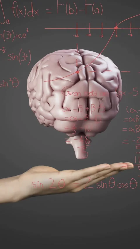 Hand entering palm, supporting 3D brain emerging and rotating above chalkboard, Stock Footage 331163033