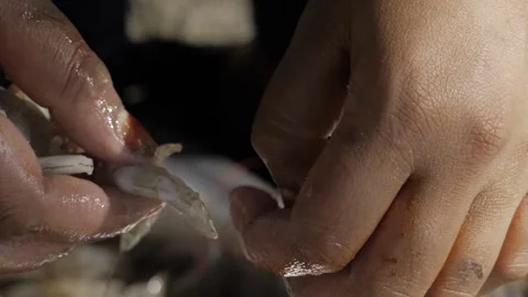 Hand Expertise  Fish Cutting Mastery Video stock 324001979