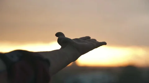 Hand is extended forward to sunset and deizzle. Only hands Video stock 80361320