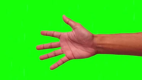 Hand extended palm up against vibrant green background Stock Footage 295538110
