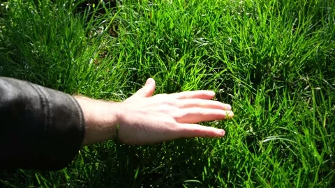 Hand feeling grass in spring forest Stock Footage 131010534