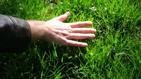Hand feeling grass in spring forest Stock Footage 131010539