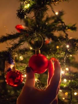 Hand of female decorating christmas tree with red ball Stock Photos