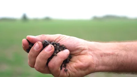 Hand with fertilizer drops Stock Footage 106299350
