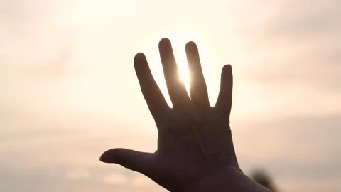 Hand filtering sunlight during golden hour at sunset Stock Footage 316087421