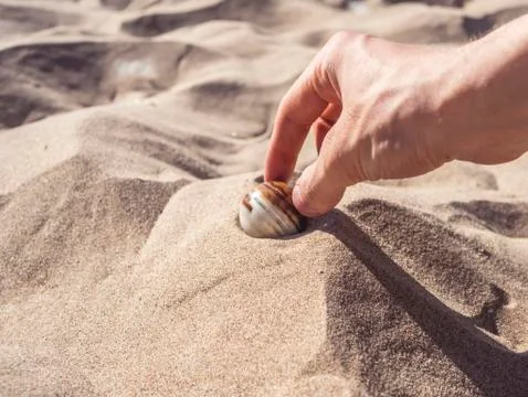 Hand finds rare multiple colors stone in sand on the beach Stock Photos