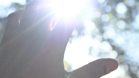 Hand fingers in front of the sun of spring nature leaves Stock Footage 120362401