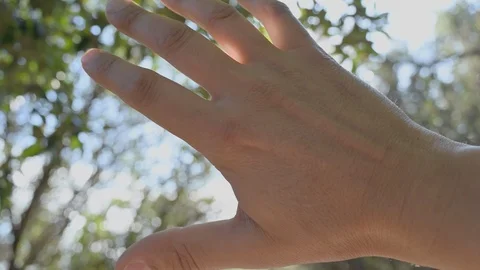 Hand fingers in front of the sun of spring nature leaves Vídeo Stock 120366286