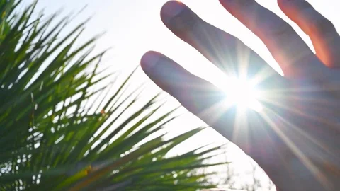 Hand fingers in front of the sun of spring nature leaves Stock Footage 121691554