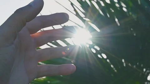 Hand fingers in front of the sun of spring nature leaves Stock Footage