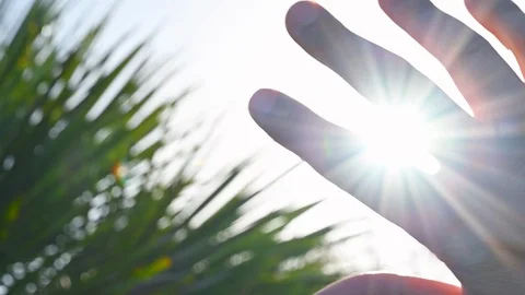 Hand fingers in front of the sun of spring nature leaves Stock Footage 121691864
