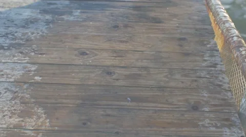 Hand Fishnet full of fish Stock Footage 62402772