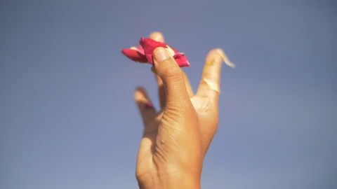Hand flick flower. Stock Footage 90488117