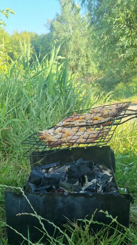 Hand flipping grill rack with chicken pieces on portable barbecue in outdoor Stock Footage 313003916