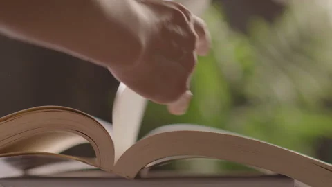 Hand Flipping Pages of Open Book with Soft Natural Light Vidéo 335473363