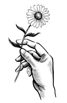 Hand with flower Illustrazione stock