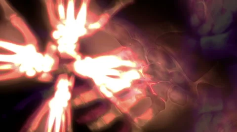 Hand Flower Loop Stock Footage 51848154