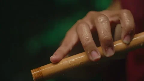 Hand, Flute, Jungle, Rainy Stock Footage 319442575