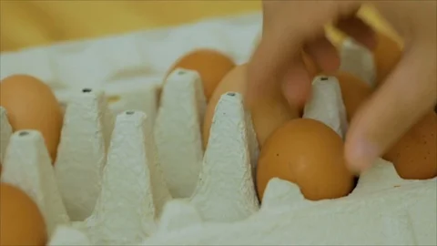 Hand folding out eggs in the package. Close up of gray egg carton with people Stock Footage 82720582