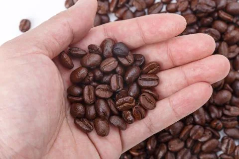 Hand full of coffee beans Stock Photos