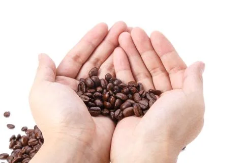 Hand full of coffee beans Stock Photos