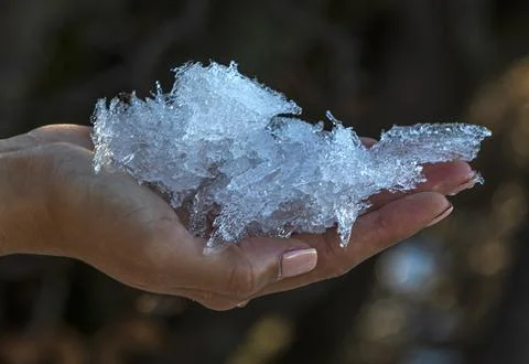 A hand full of ice on a blurred background Foto stock