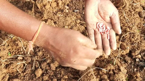 Hand of a gardener. Stock Footage 221544326