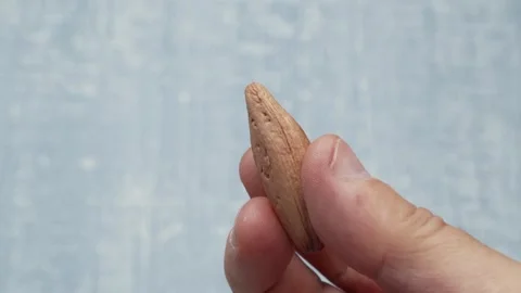 A hand is gently holding a uniquely shaped handcrafted almond or creative nut 스톡 동영상 289631246