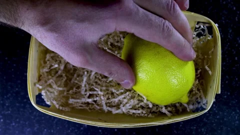 Hand gently placing fresh ripe lemons into protective straw-lined basket Stock Footage 323717000