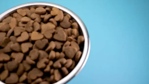Hand gently sets down pet food bowl; heart shapes reveal love. Filmed in sl.. Video stock 254772470