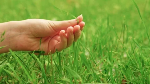 Hand gently touching green grass in a serene outdoor setting during a bright Stock Footage 311952427