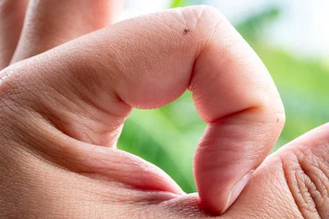 Hand gesture creating heart shape nature background close-up peaceful envir.. Stock Photos