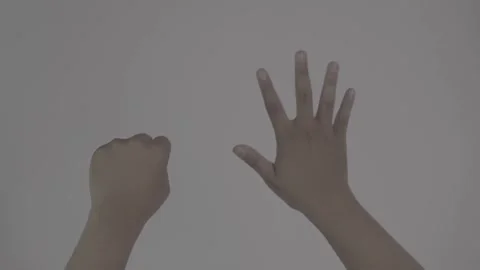 Hand Gesture, do counting Stock-Footage 312863804