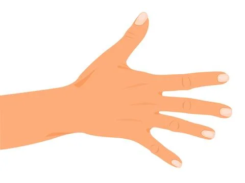 Hand gesture, human palms Stock Illustration