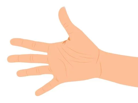 Hand gesture, human palms Stock Illustration