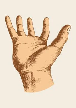 Hand Gesture Stock Illustration