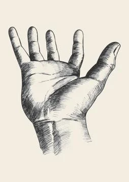 Hand Gesture Stock Illustration