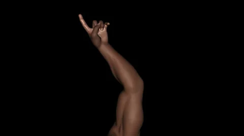 Hand Gesture - Index Finger In - Black Male In - 1 - Loop - Alpha channel Stock Footage